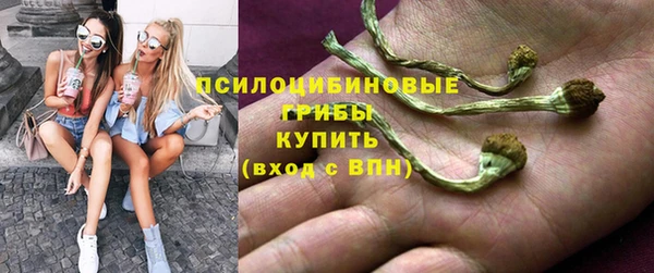 хмурый Алексеевка