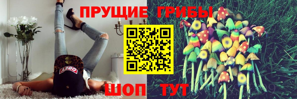 Клин  Галлюциногенные грибы Psilocybine cubensis  Вход с VPN 